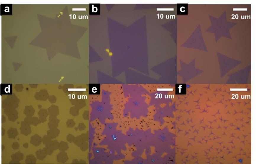 Grains and grain boundaries in highly crystalline monolayer molybdenum disulphide Supplementary Figure S1: Commonly-observed shapes in MoS 2 CVD.