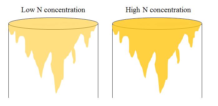 soil was assumed to be the same, on average, then increasing the urine N rate would increase the concentration of N per unit volume of soil (Figure 7.4).
