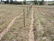areas when possible Use lanes for access to winter water Keep livestock within 800 feet of water Follow landscape lines for paddock boundaries Make paddocks of similar grazing capacity Plan lanes for