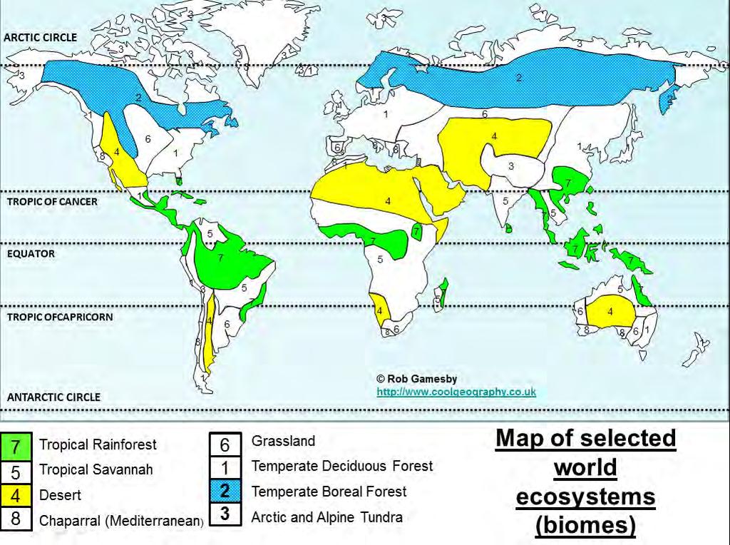 The distribution of large scale global ecosystems Describe the different types of ecosystems: 1.Temp deciduous forest 2.Temp boreal forest 3.