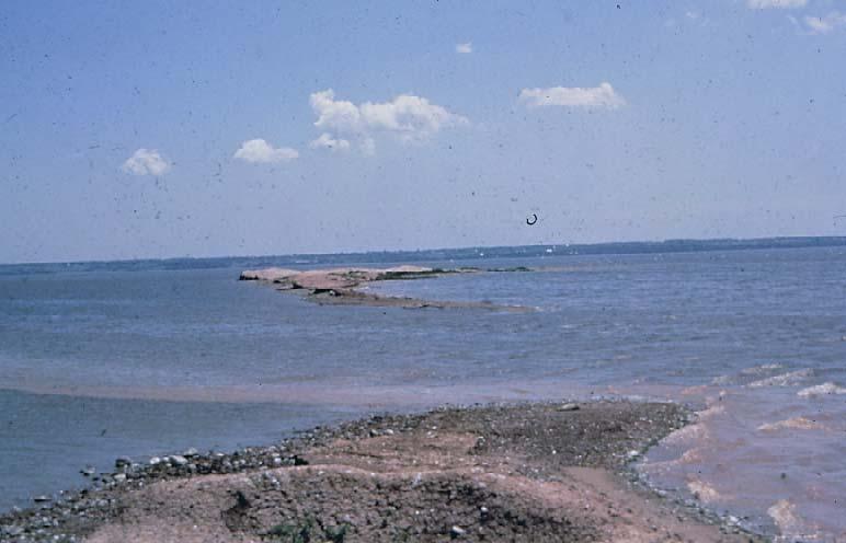 Goals Restore diversity of island and aquatic habitats Photo by WDNR 1969 Recreate 1960s island footprint Provide protection for recovering