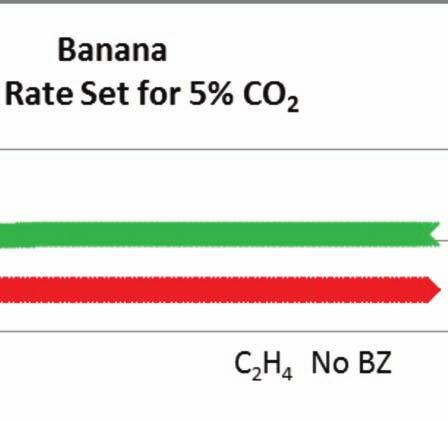 Bluezone can avoid ripening of Banana load