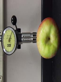 Fruit quality measurement Gas