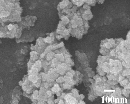 Waste Management and the Environment IV Figure 4: 853 SEM image of simulated soot (activated carbon) particles. Room Temp.