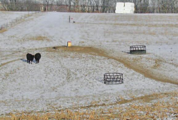 Locate winter feeding areas on upland pastures and away from steep slopes where snowmelt and spring runoff may also impact nearby riparian areas.