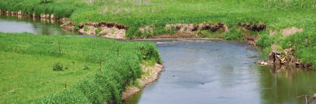 Managing pastures for water quality Strategies for seasonal livestock use This fenced riparian buffer prevents cattle access to the stream, thereby protecting the banks while allowing productive