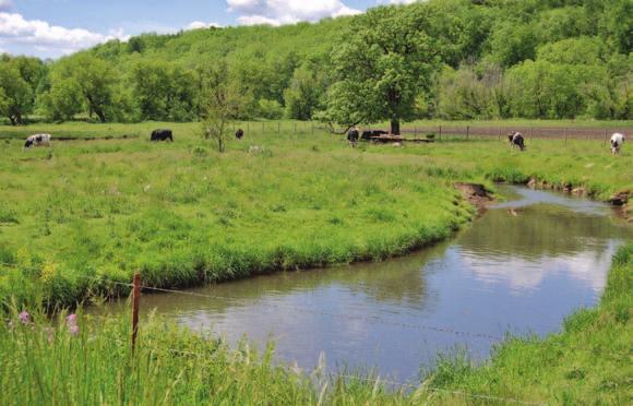 times of the year, applying grazing pressure at a particular time can be used to favor desired plant species over undesired, weedy or invasive species.