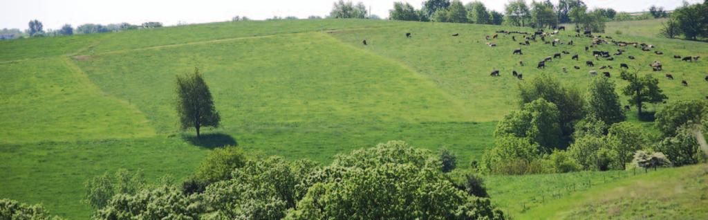 Managing pastures for water quality Strategies for seasonal livestock use Cattle are moved through these three pasture subdivisions (paddocks) frequently, providing rest intervals that enable plants