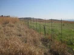 The proposed site was disturbed by the previous agricultural activities which destroyed a part of the natural vegetation, but the grasslands