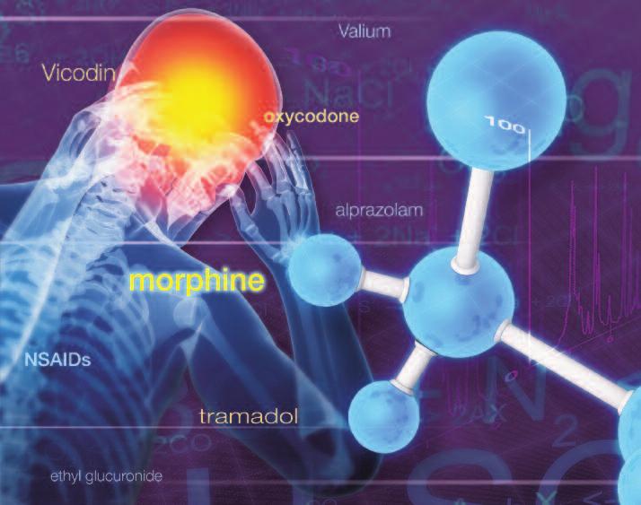 m a s s s p e c t r o m e t r y Thermo Scientific PAiNACEA Suite of Solutions LC-MS Solutions for Pain Management Analysis in Forensic