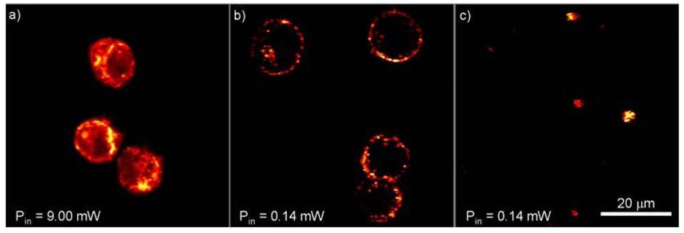 Two-photon images of cancer cells placed on a coverslip from a cell suspension. (a) TPAF image of unlabeled cells. (b) TPL image of nanorod labeled cells.