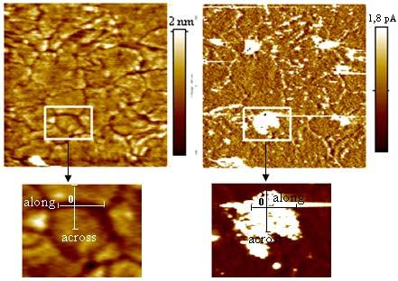 Dielectric properties: Correlation between morphology and electrical characteristics HfO 2 current topography C-AFM HfO 2 SiO2 Si Breakdown spot Height (nm) 3.6 2.1 Topography 0 Current 1.8 3.3 1.5 3.