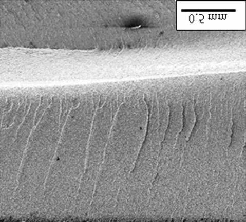fracture surface of the sample processed using the C treatment sample at 35-times magnification is presented in Figure 12, and at 1000-times magnification is shown Figure13.