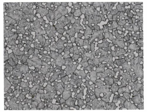 Microstructure of HSS Fine grain structure at 1000x showing uniform dispersal of carbides.