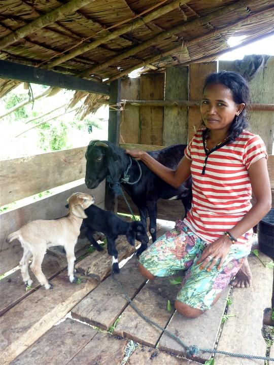 Goats- For- Widows Program Most widows in this area lack economic resources. Project ASRI provides each widow one pair of goats, plus training and assistance.