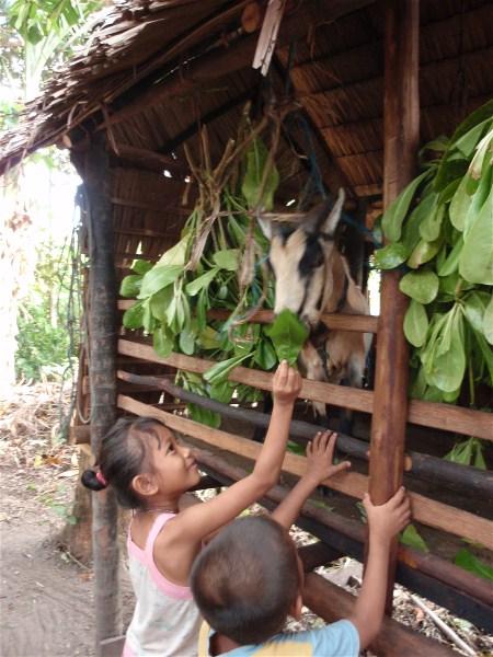 Families benefit For some of the widows, raising goats provides the means to buy school uniforms and pay the fees to send their children to