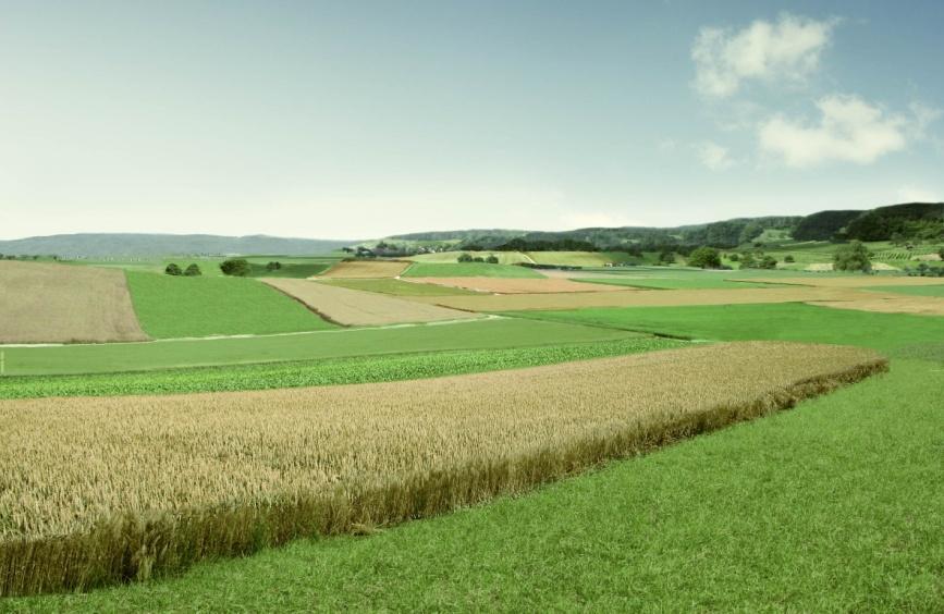 Facing the problem: impact of agricultural land use on biodiversity Second goal of the method: compare land use scenarios for mosaic of habitats/fields or farms