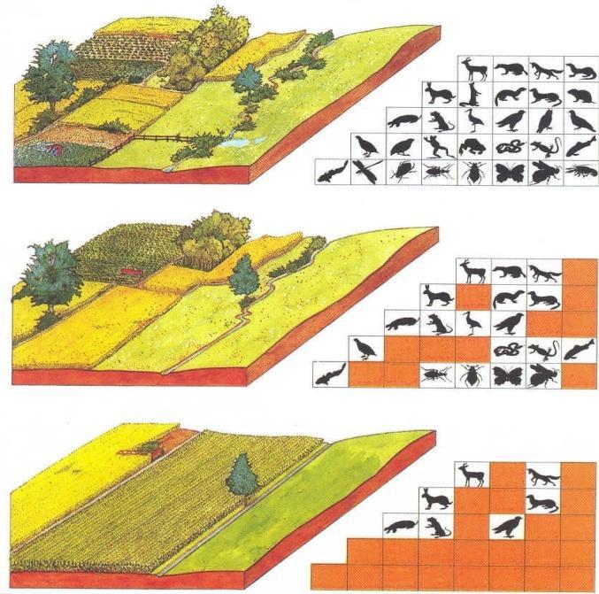 agricultural land use and the field management; Necessary: quantitative link