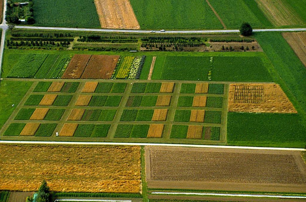 The field trial and the farming systems 8 treatments 3 crops 4 replicates 96 plots at 100m 2 N M D 1 D 2 O 1 O 2 K 1 K 2 D 1 D 2 O 1 O 2 K 1 K 2 K 1 K 2 N M O 1 O 2 N M D 1 D 2 K 1 K 2 O 1 O 2 D 1 D