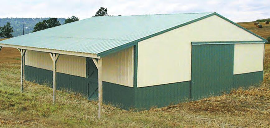 Standard 10', 12' or 14' Ceilings Heavy-duty sliding door track Entry Door and Lockset This Horse Barn is shown with an optional 6' covered shed and wainscoting.