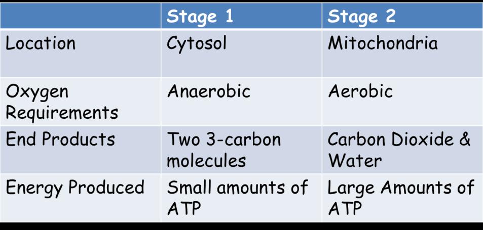 Aerobic respiration controlled release of energy from food using oxygen Equation for aerobic respiration - The energy formed is in