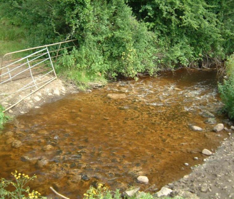 Diffuse and point source agricultural pollution With 60% of the catchment in