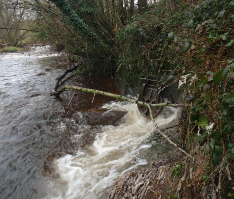 Underperforming Wastewater Treatment Works February 2011 Cookstown WwTW discharges raw sewage into the Ballinderry due