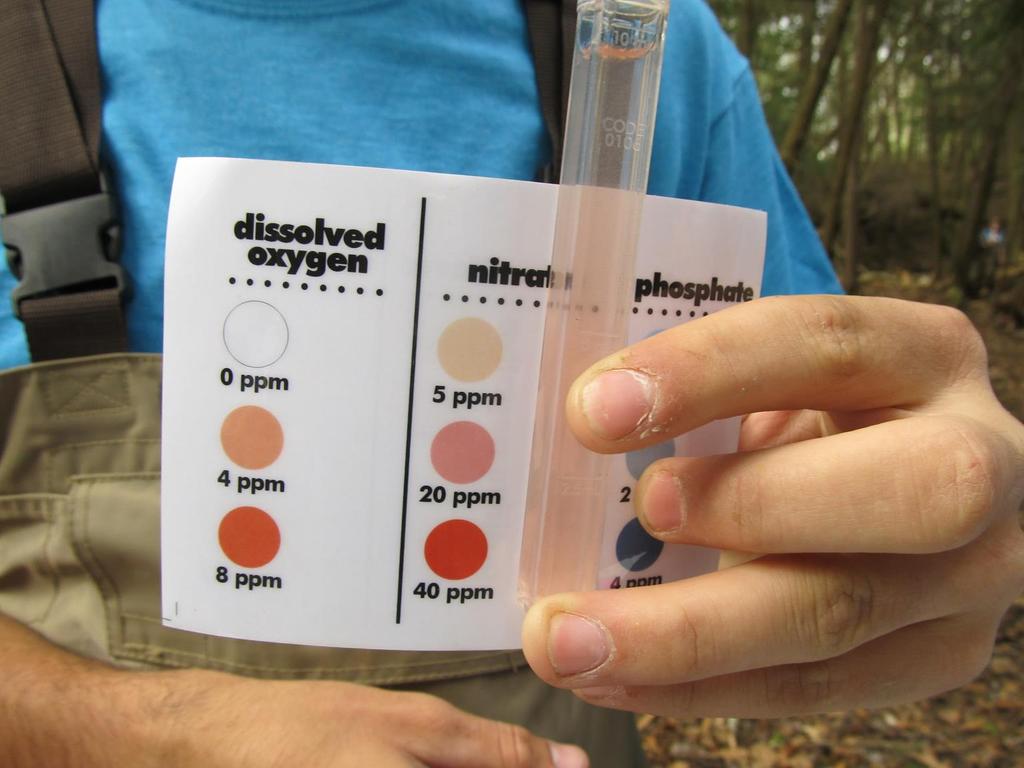 Testing Water Chemistry Good ph of 8 Biochemical oxygen demand lower than amount of dissolved oxygen Less than one