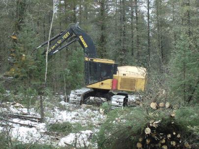 The Canadian forest industry 40% loss of direct jobs in