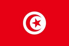 Critical Components in Tunisia