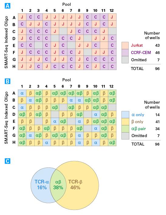 Figure 6. Analysis of a mixed cell population from a 96-well plate. Panel A. Cell-type calling based on the identified clonotypes for each well.