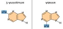 bases to resemble an extra base. Example = ethidium bromide.