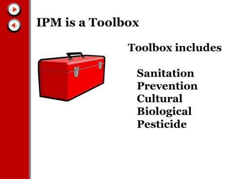 This multi faceted approach in minimizing pest infestations is formally known as Integrated Pest Management, or IPM.