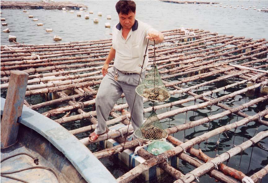 Extractive Aquaculture Bivalve