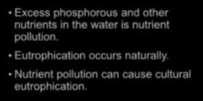 Lesson 14.3 Water Pollution Nutrient Pollution THE PROCESS OF EUTROPHICATION Nutrients build up in water. Excess phosphorous and other nutrients in the water is nutrient pollution.