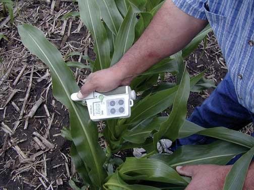 Chlorophyll Meter as a tool for N Management No sampling (Non