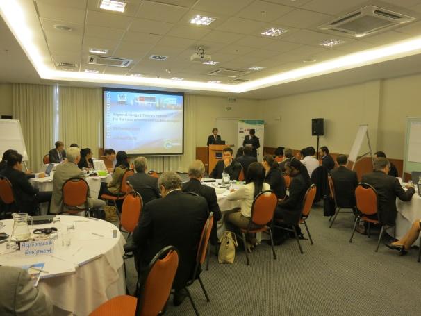 Energy Efficiency Experts from the region: Supporting Organisations: UN ECLAC Peru (MEM)