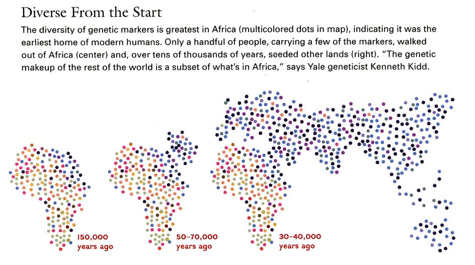 the Founder Populations to Modern Humans Examples of paths from East Africa to
