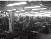 From the physical survey it is noticed that most of Ready Made Garments factories have no reflection about the ratio of open space and built space.