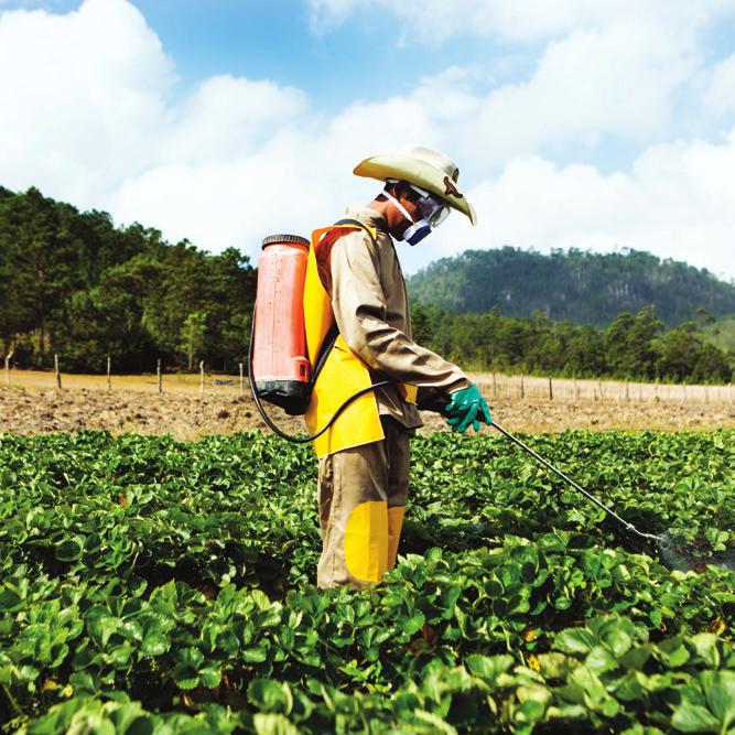 ENSURING THE SOUND MANAGEMENT OF PESTICIDES CROPLIFE INTERNATIONAL COMMITMENT TO THE STRATEGIC APPROACH TO INTERNATIONAL CHEMICALS MANAGEMENT (SAICM) CropLife International is the global federation