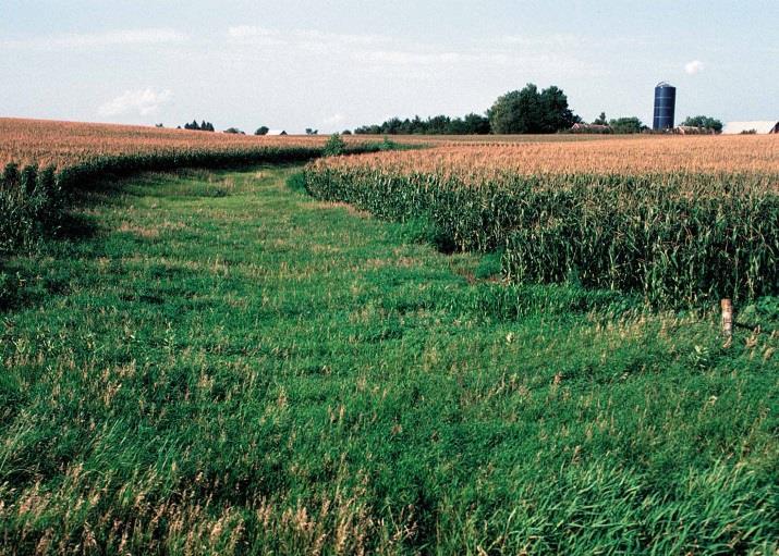 Conservation Practices that provide Runoff and Erosion Control Benefits