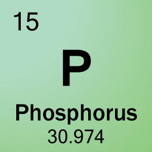 Phosphorus Nutrient vital to plant growth Typically applied annually