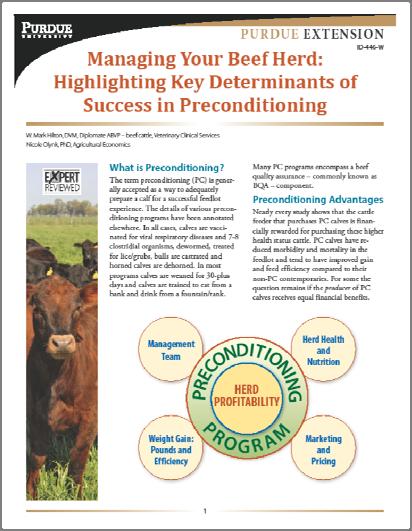 29 Animal Well Being Preconditioned calves have improved animal well being versus high-risk cattle The public is increasingly interested in how their food is raised.