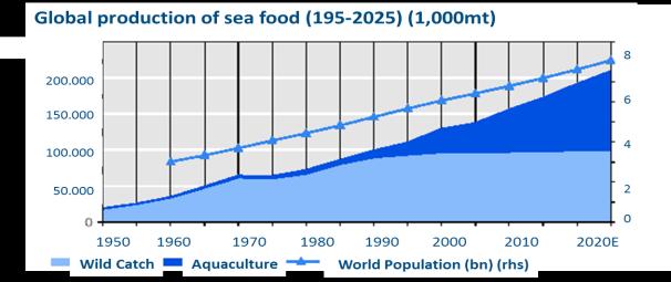 production of sea food