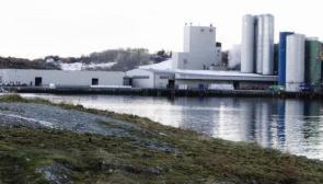 Existing markets investments to support growth Norway New production capacity Investing EUR 66 million to upgrade fish feed plant in Averøy, Norway Enable Skretting