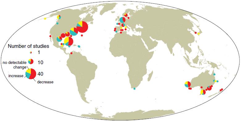 Globally many seagrass/kelp beds have