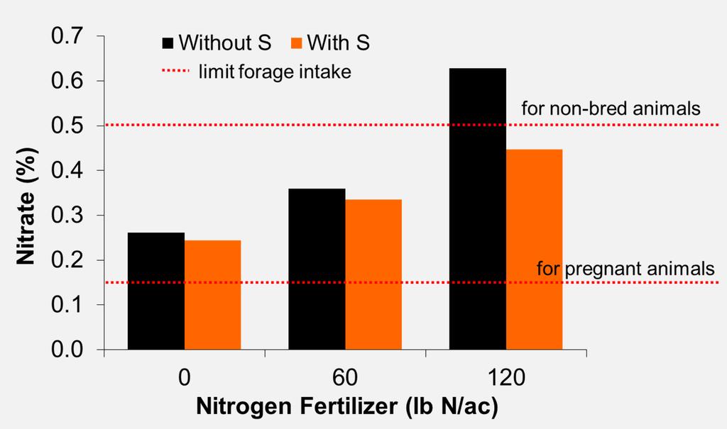 S influence on annual forage quality