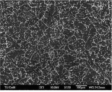 Microstructural Evolution During the Homogenization of Al-Zn-Mg Aluminum Alloys 487 3. The as-cast microstructure 3.