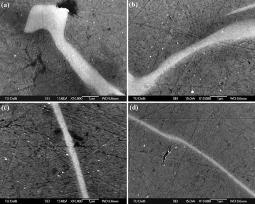 Microstructural Evolution During the Homogenization of Al-Zn-Mg Aluminum Alloys 495 cast structure and the one homogenized at 390 C for 48 h indicates that after homogenization the fraction of