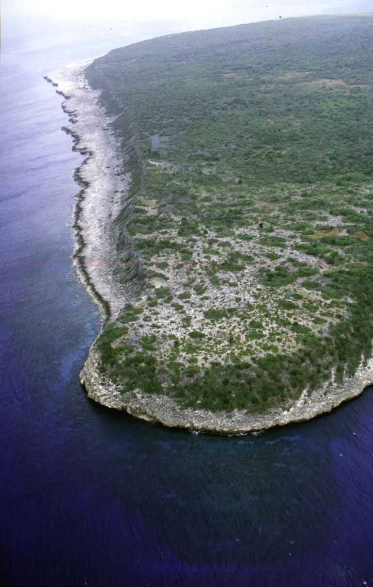 south and east side Navassa Island